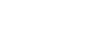 swastik oil industries
